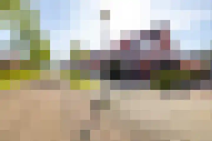 Zevenbruggetjesweg 11 Bedum thumbnail 9