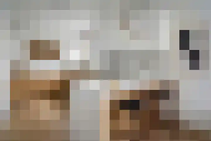 Zevende Buitenpepers 2 's-Hertogenbosch thumbnail 14