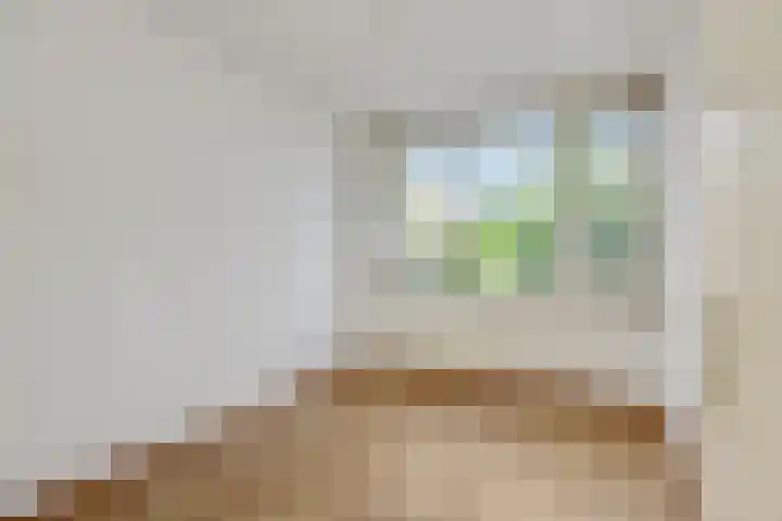 Zevende Buitenpepers 2 's-Hertogenbosch thumbnail 19