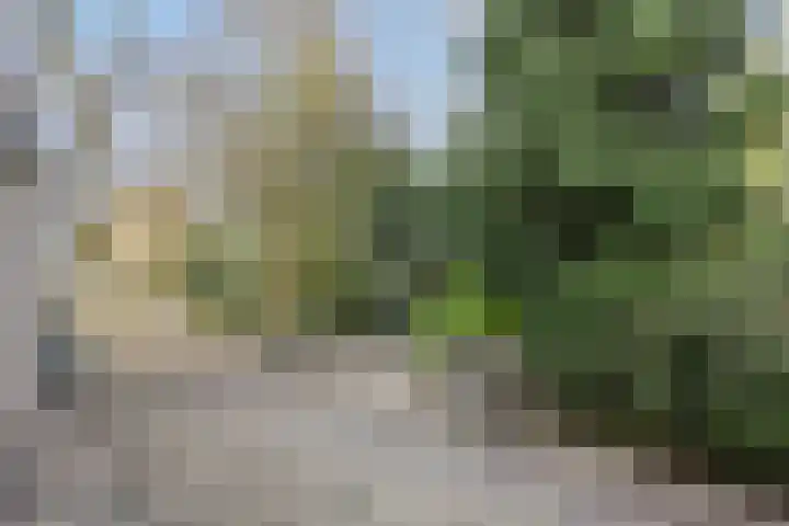 Zevende Buitenpepers 2 's-Hertogenbosch thumbnail 29