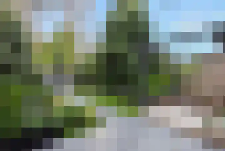 Zevende Buitenpepers 2 's-Hertogenbosch thumbnail 30