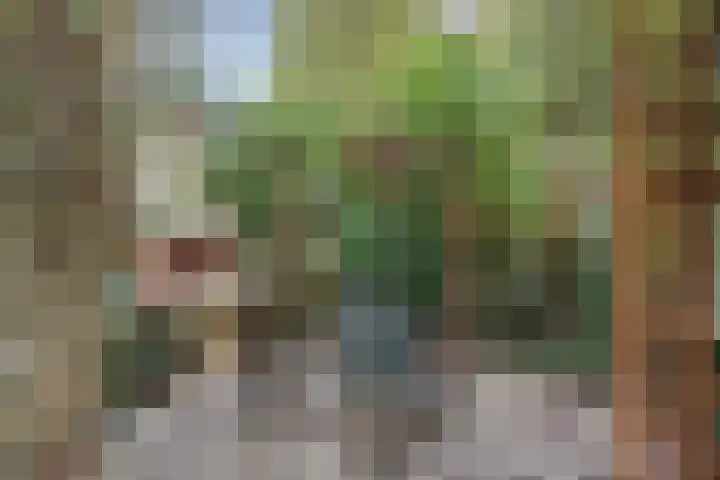 Zevende Buitenpepers 2 's-Hertogenbosch thumbnail 32