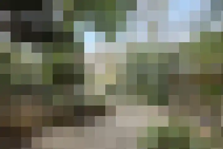 Zevende Buitenpepers 2 's-Hertogenbosch thumbnail 33