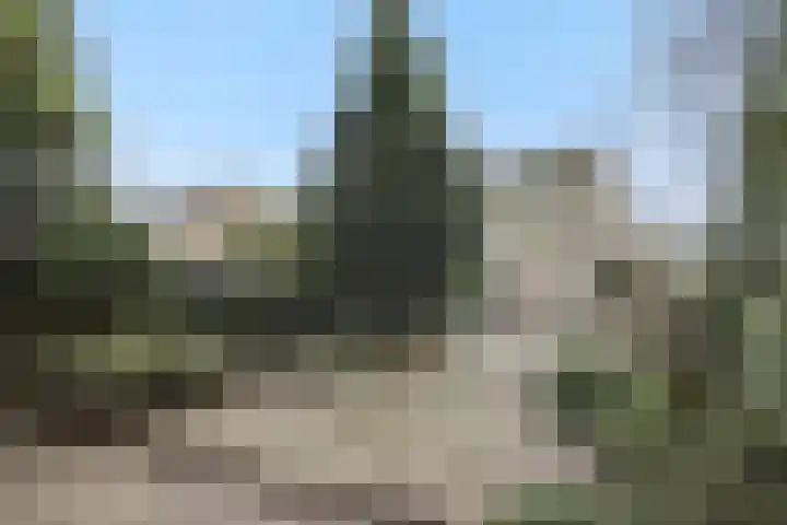 Zevende Buitenpepers 2 's-Hertogenbosch thumbnail 34