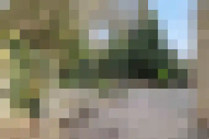 Zevende Buitenpepers 2 's-Hertogenbosch thumbnail 36