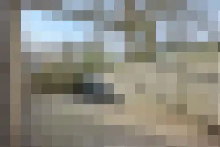 Zevende Buitenpepers 2 's-Hertogenbosch thumbnail 37