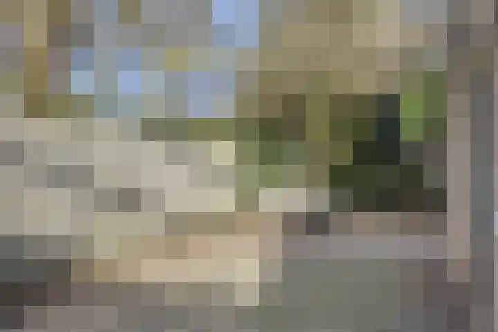 Zevende Buitenpepers 2 's-Hertogenbosch thumbnail 38