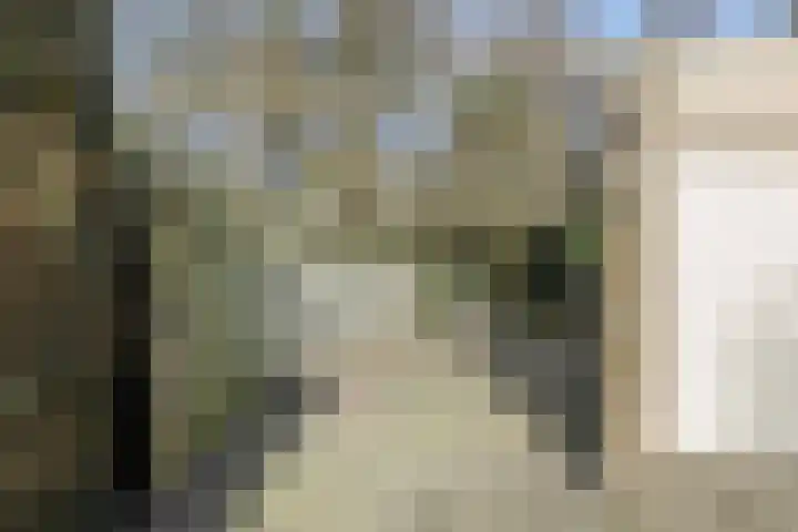 Zevende Buitenpepers 2 's-Hertogenbosch thumbnail 39