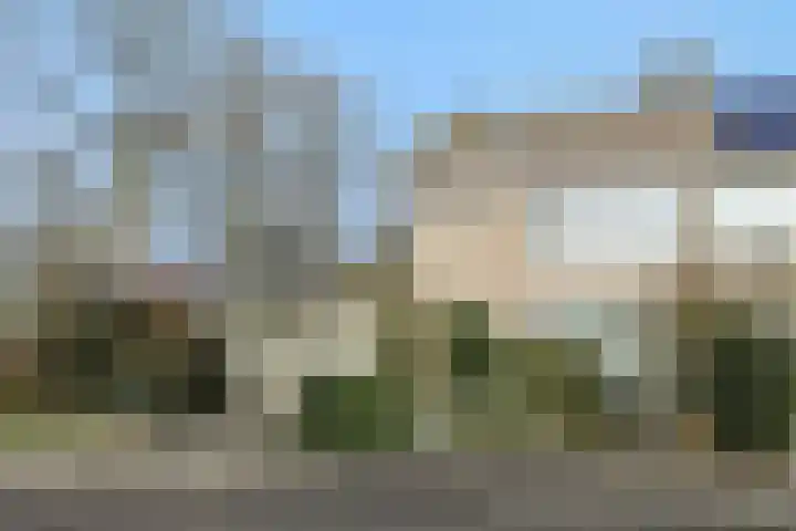 Zevende Buitenpepers 2 's-Hertogenbosch thumbnail 42