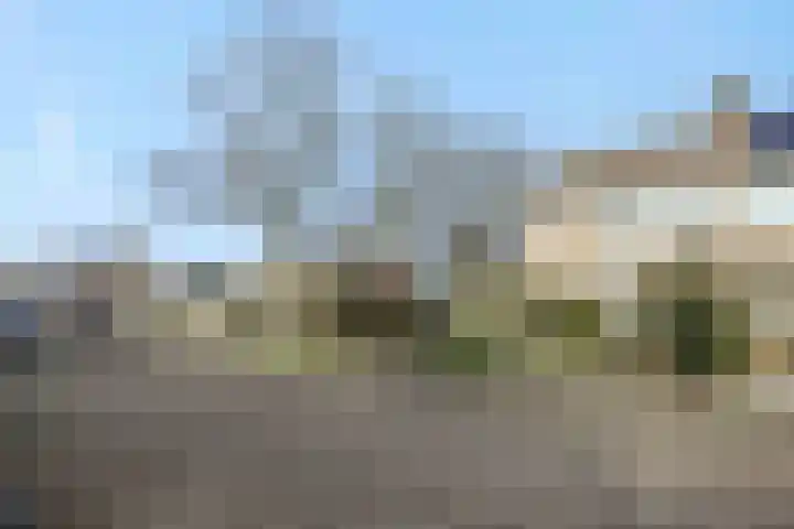 Zevende Buitenpepers 2 's-Hertogenbosch thumbnail 44