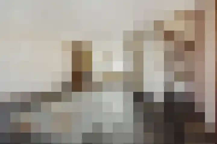 Zevende Buitenpepers 2 's-Hertogenbosch thumbnail 8