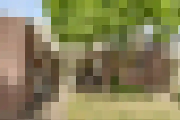 Zevende Herven 15 's-Hertogenbosch thumbnail 24
