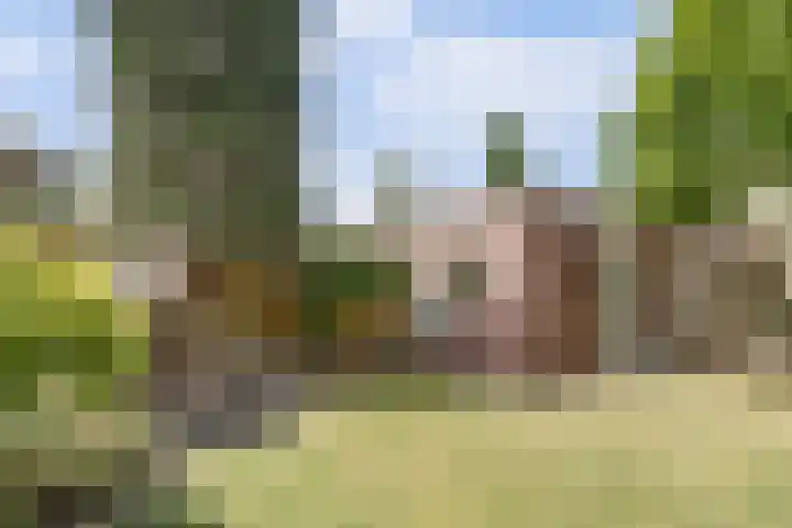 Zevende Herven 15 's-Hertogenbosch thumbnail 26