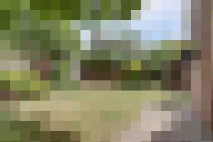 Zevende Herven 15 's-Hertogenbosch thumbnail 27