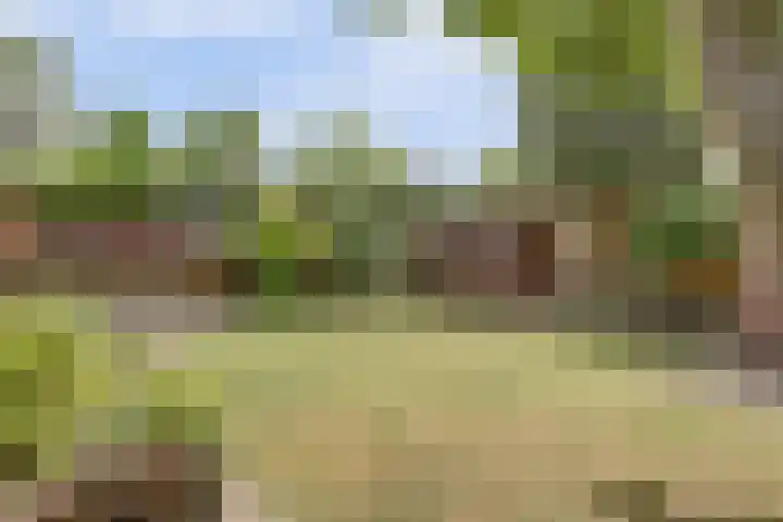 Zevende Herven 15 's-Hertogenbosch thumbnail 28