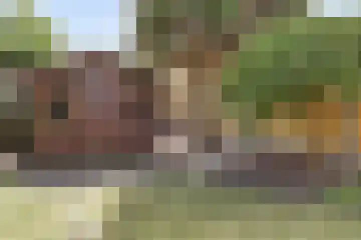 Zevende Herven 15 's-Hertogenbosch thumbnail 29