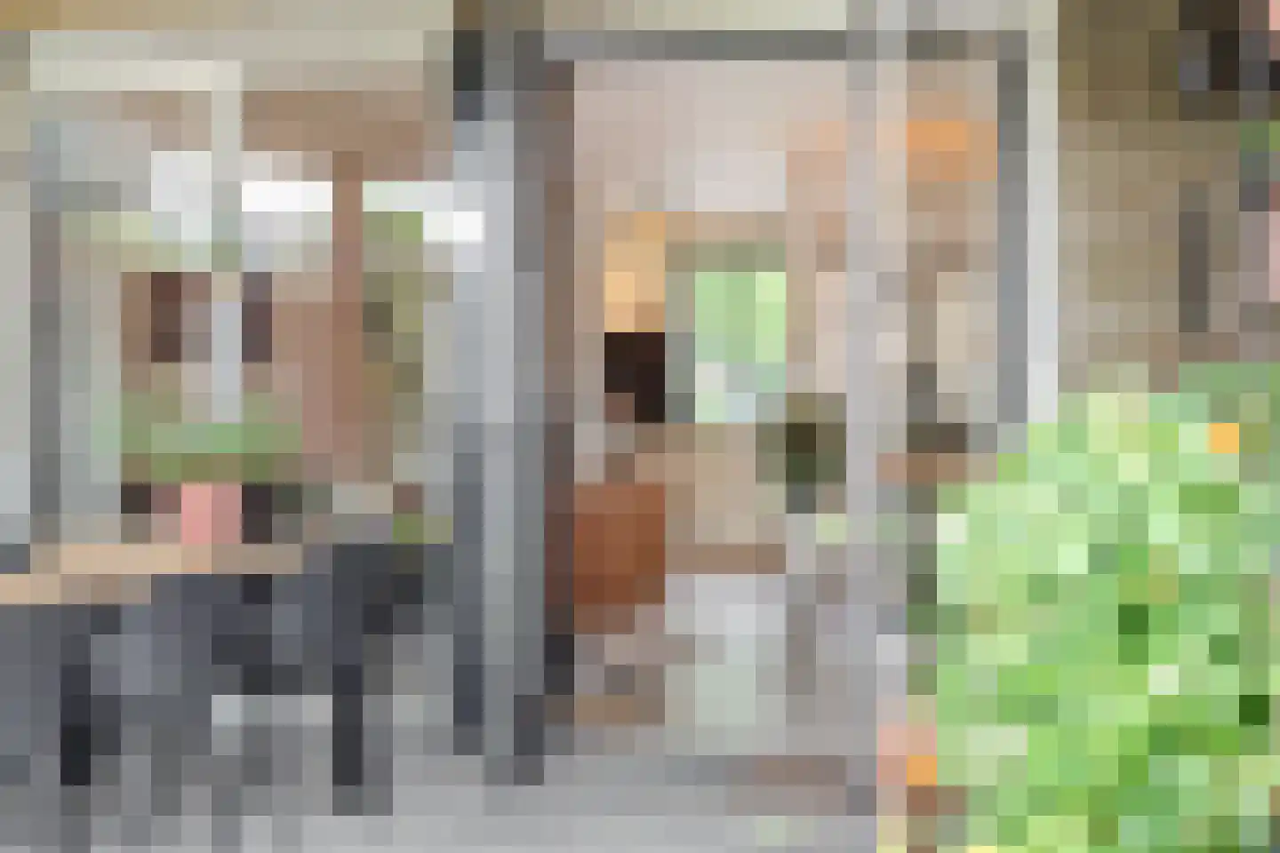 Zevende Reit 17 's-Hertogenbosch thumbnail 16