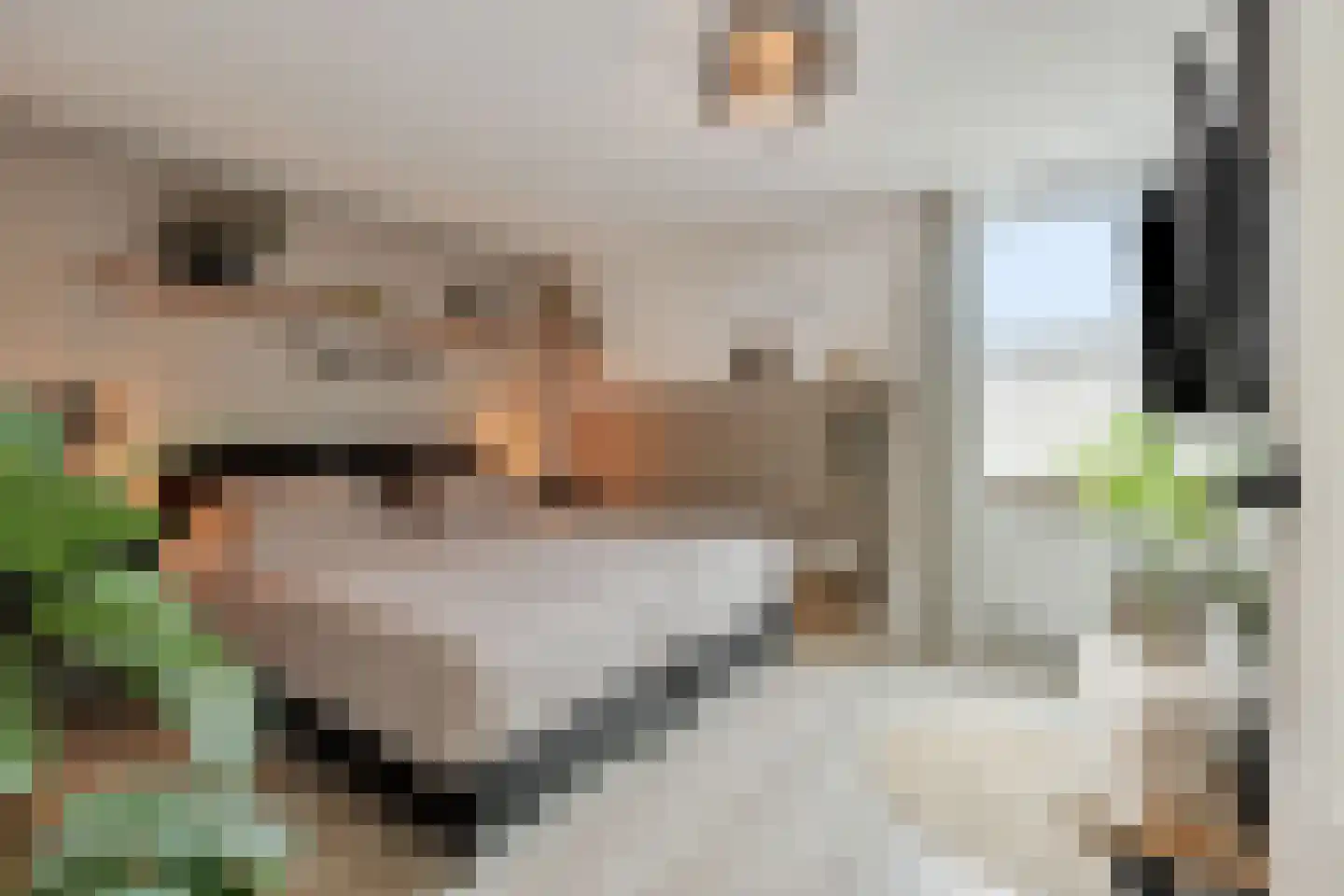 Zevende Reit 17 's-Hertogenbosch thumbnail 20