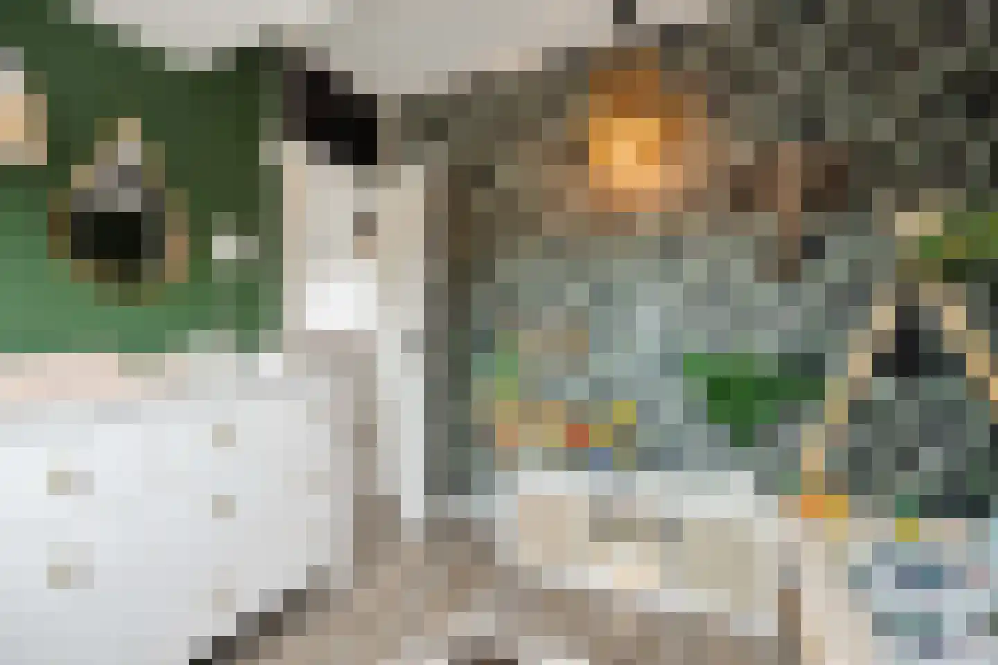 Zevende Reit 17 's-Hertogenbosch thumbnail 31
