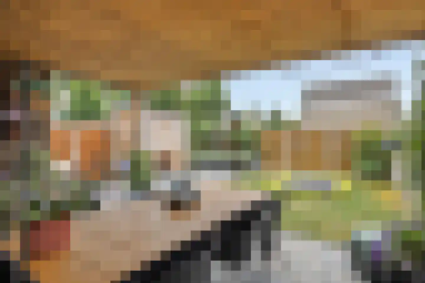 Zevende Reit 17 's-Hertogenbosch thumbnail 32