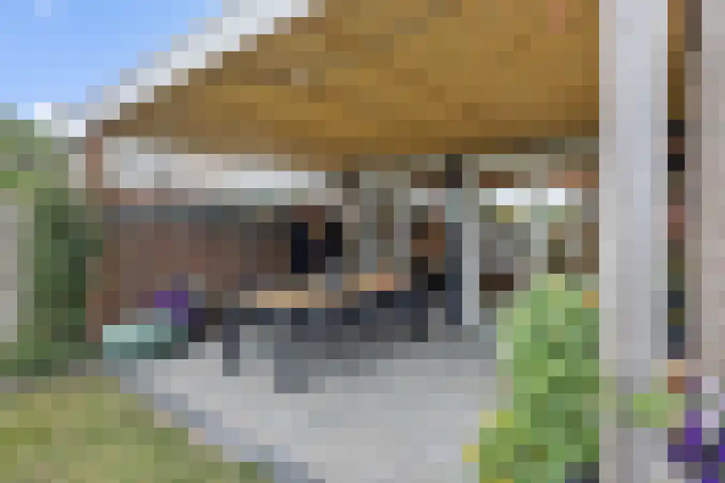 Zevende Reit 17 's-Hertogenbosch thumbnail 35