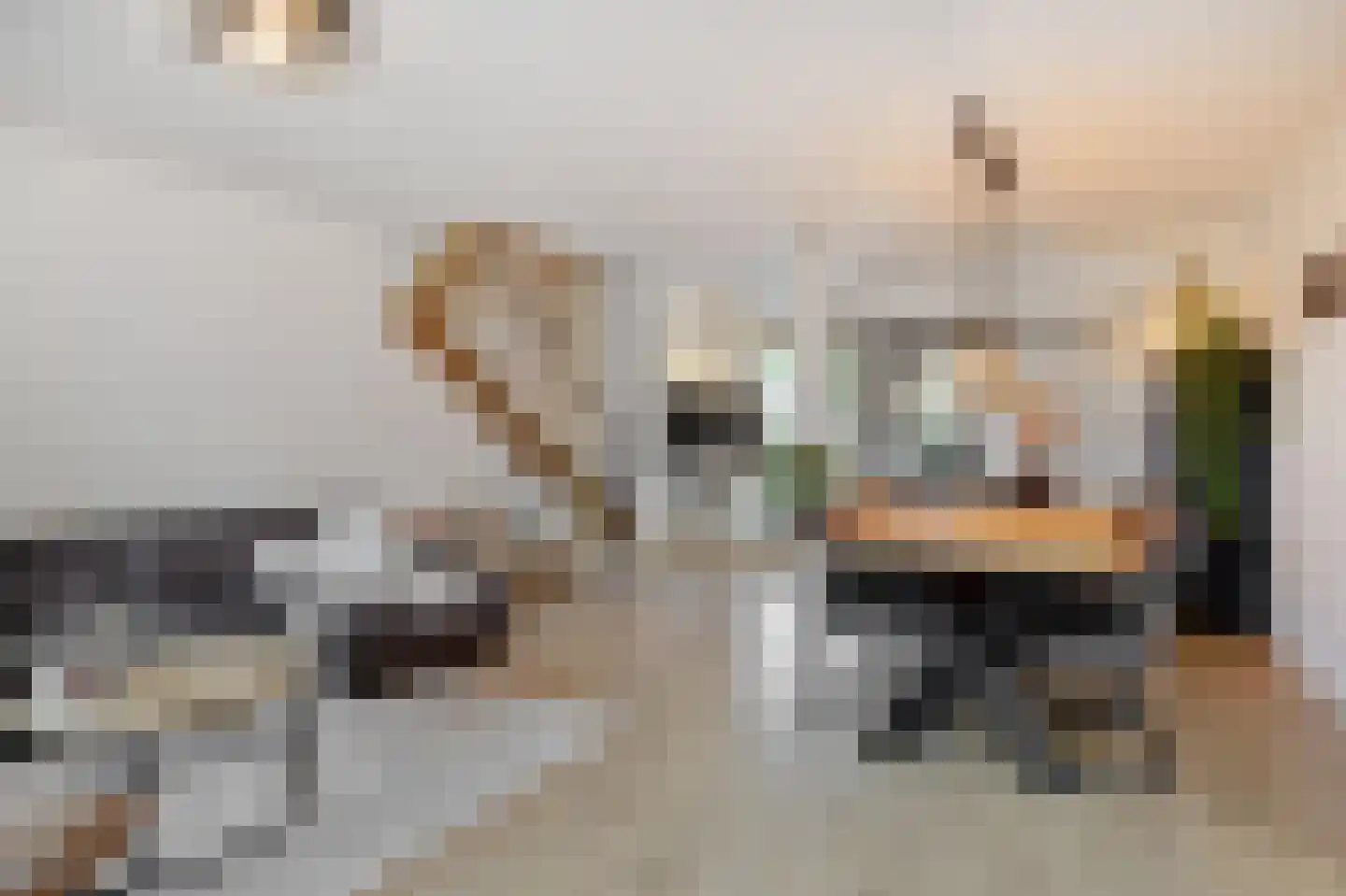 Zevende Reit 17 's-Hertogenbosch thumbnail 8