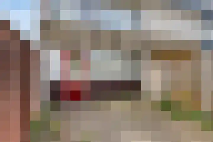 Zevende Slagen 12 's-Hertogenbosch thumbnail 21