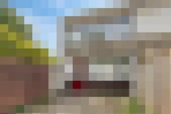 Zevende Slagen 12 's-Hertogenbosch thumbnail 22