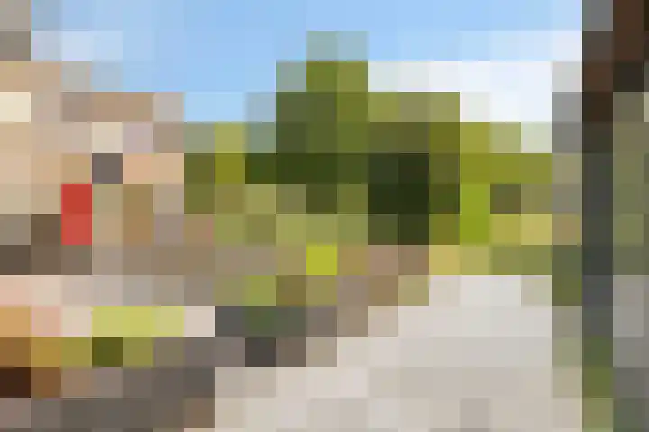 Zevende Slagen 12 's-Hertogenbosch thumbnail 24
