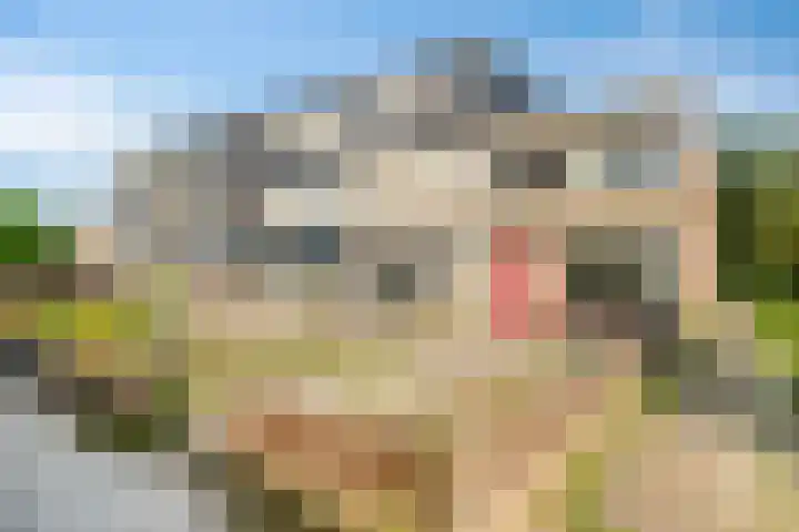 Zevende Slagen 12 's-Hertogenbosch thumbnail 25