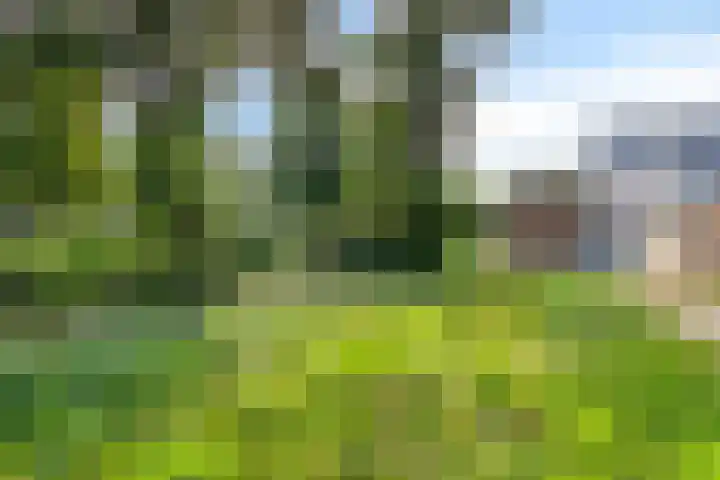 Zevende Slagen 12 's-Hertogenbosch thumbnail 27