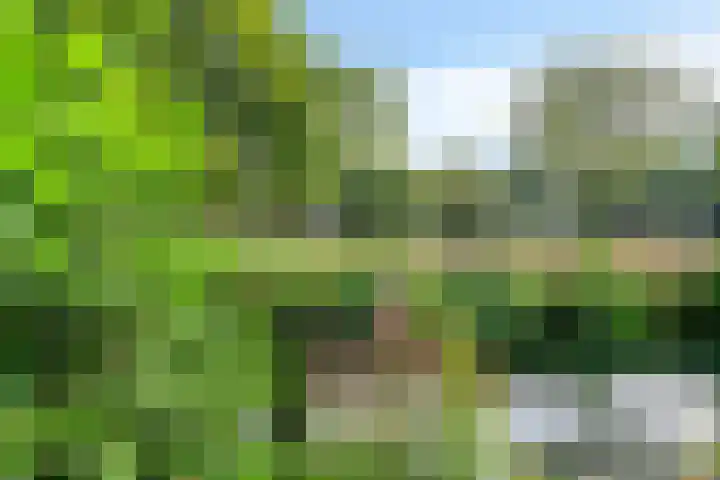 Zevende Slagen 12 's-Hertogenbosch thumbnail 29