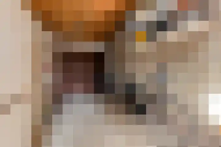 Zevendreef 3024 Wijchen thumbnail 25