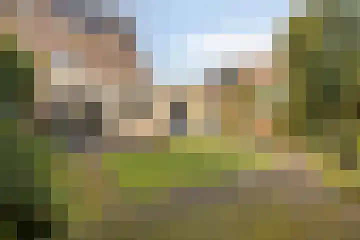 Zevendreef 3024 Wijchen thumbnail 26