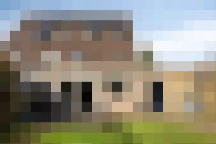 Zevendreef 3024 Wijchen thumbnail 27