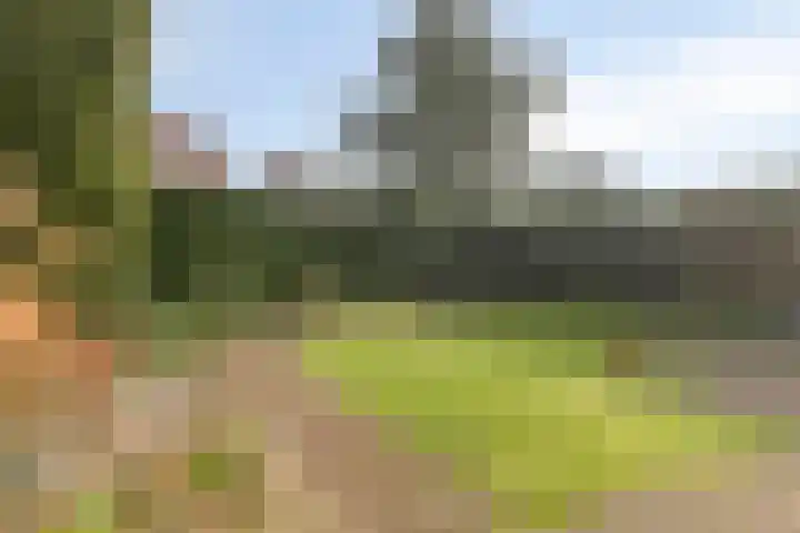 Zevendreef 3024 Wijchen thumbnail 29