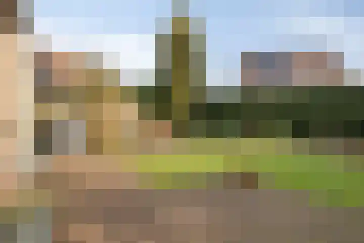 Zevendreef 3024 Wijchen thumbnail 30