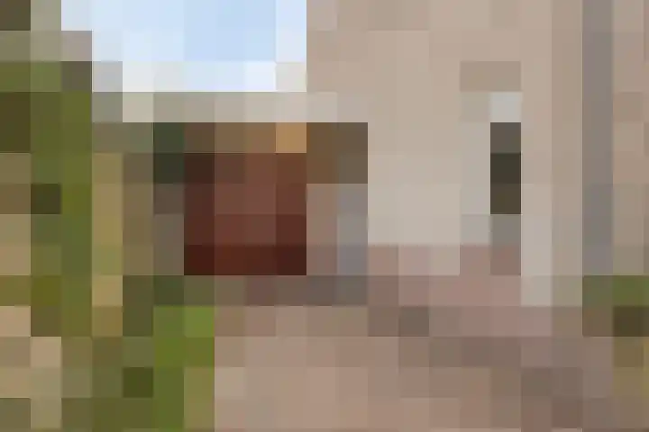 Zevendreef 3024 Wijchen thumbnail 31