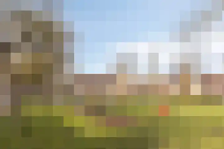 Zevendreef 3024 Wijchen thumbnail 34