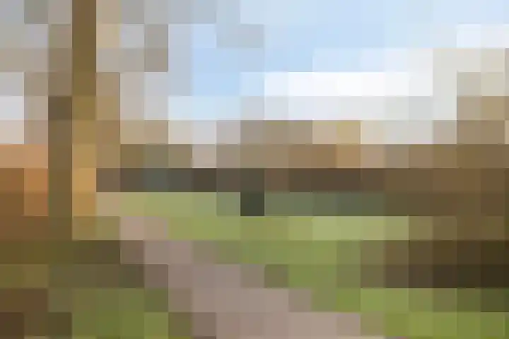 Zevendreef 3024 Wijchen thumbnail 36