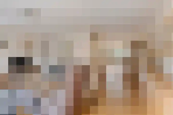 Zevendreef 3024 Wijchen thumbnail 5