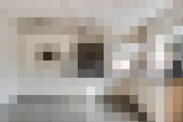 Zevendreef 3024 Wijchen thumbnail 9