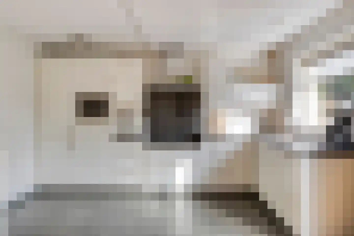 Zevendreef 3024 Wijchen thumbnail 9