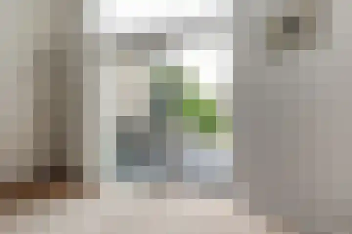 Zevendreef 3126 Wijchen thumbnail 14