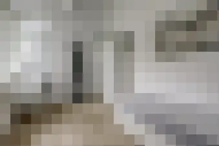 Zevendreef 3126 Wijchen thumbnail 19