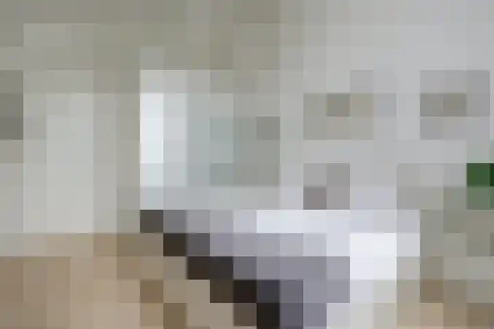 Zevendreef 3126 Wijchen thumbnail 27