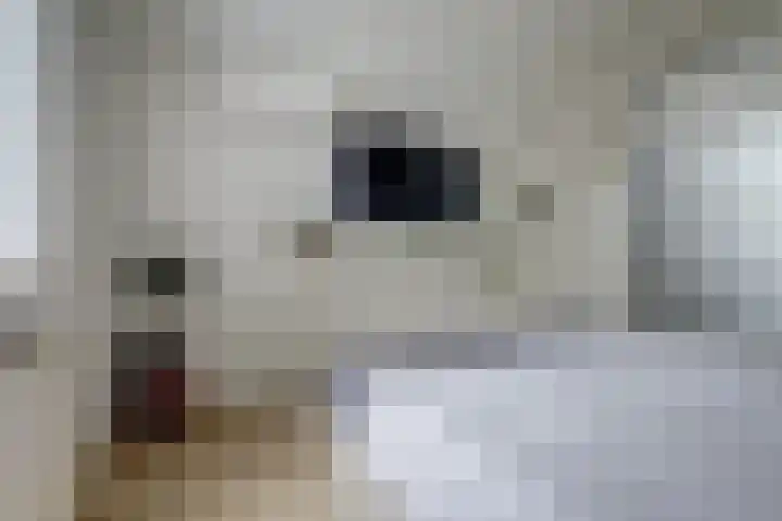 Zevendreef 3126 Wijchen thumbnail 28