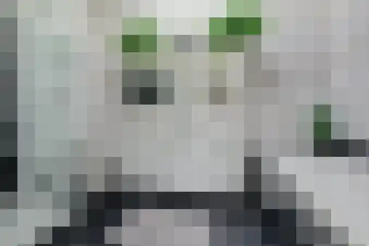 Zevendreef 3126 Wijchen thumbnail 32