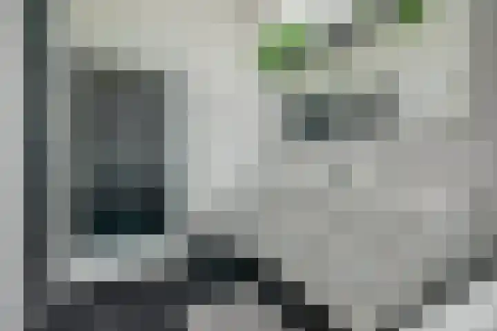 Zevendreef 3126 Wijchen thumbnail 33