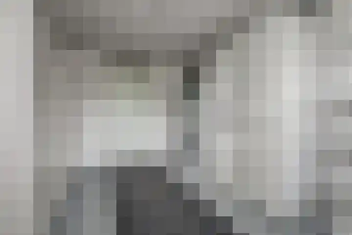 Zevendreef 3126 Wijchen thumbnail 39